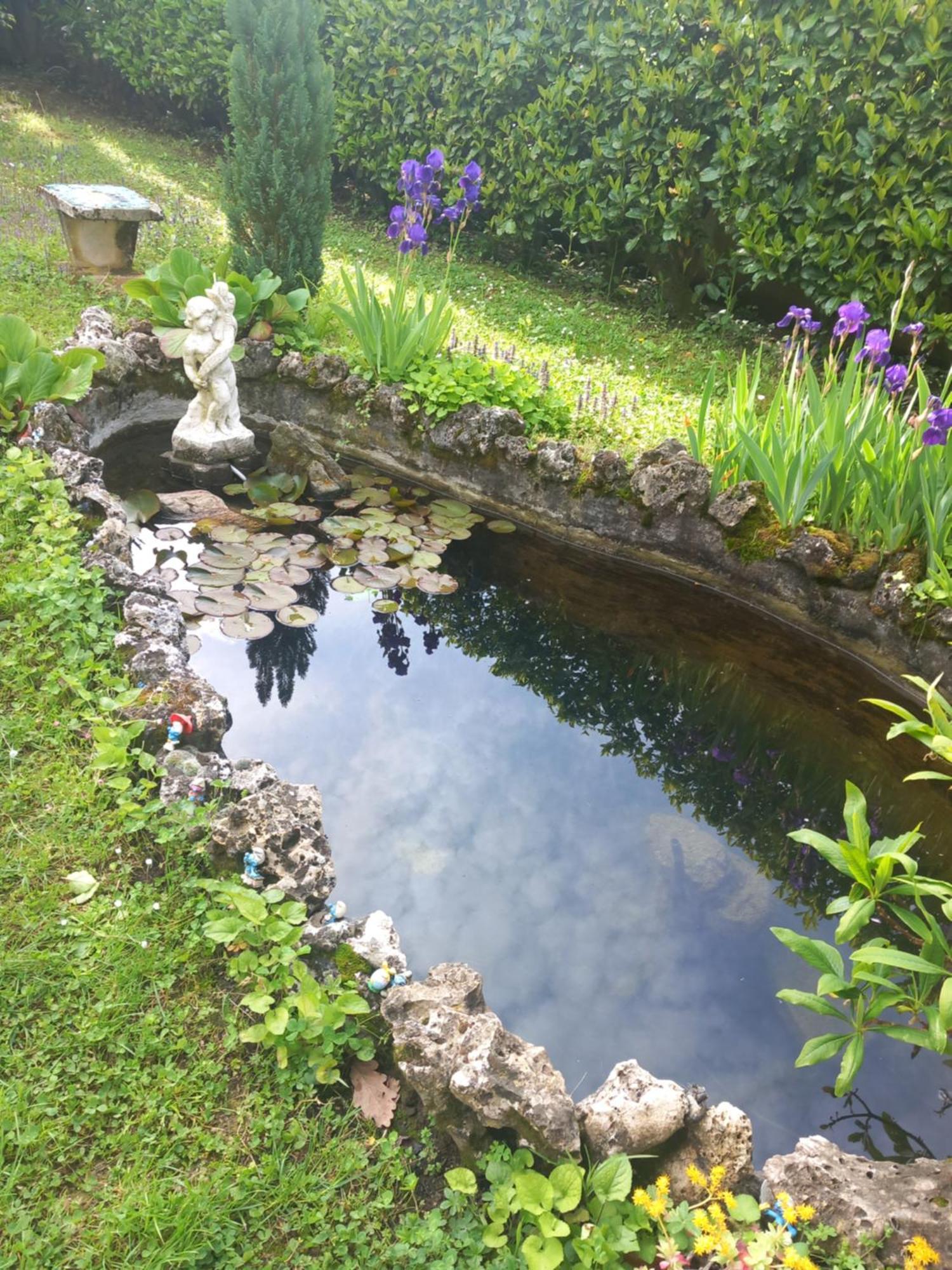 Bed and Breakfast Il Laghetto Torre Canavese Exterior foto